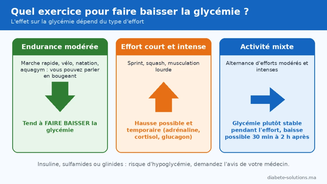 Comparaison des effets de l’endurance modérée, de l’effort intense et de l’activité mixte sur la glycémie.