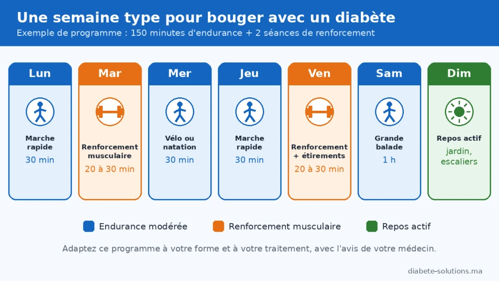 Schéma en trois étapes expliquant comment la contraction du muscle active les transporteurs GLUT-4 et fait baisser la glycémie