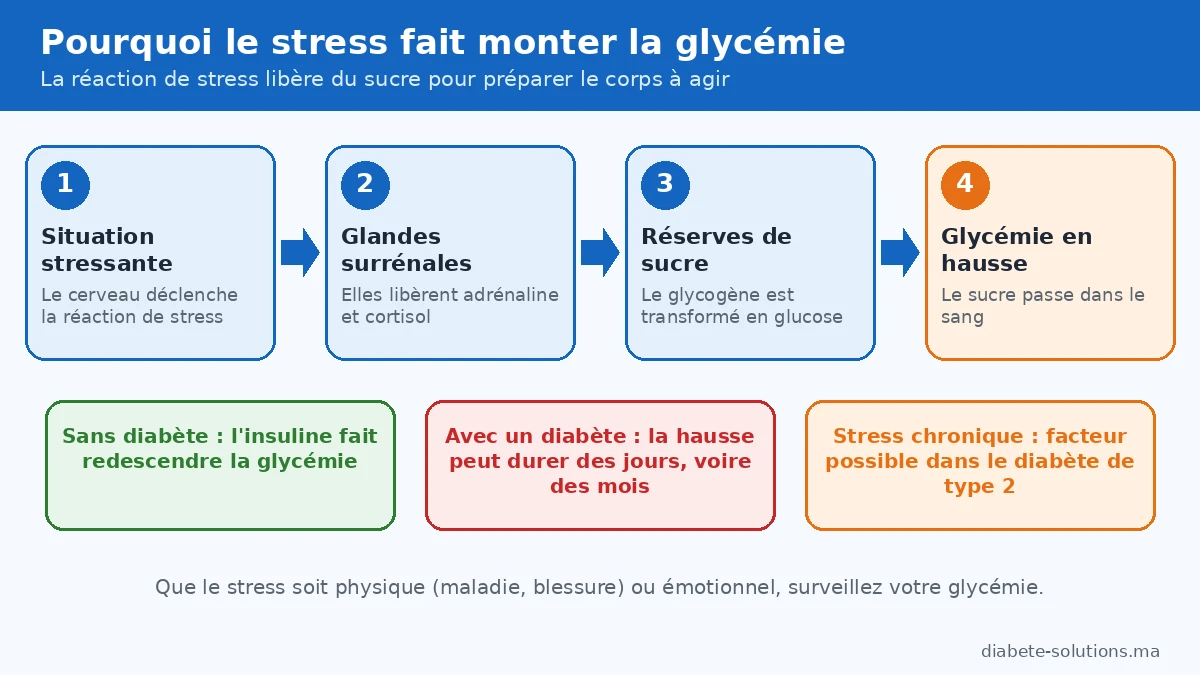 Schéma illustrant comment le stress libère l’adrénaline et le cortisol, augmente le glucose sanguin et fait monter la glycémie.